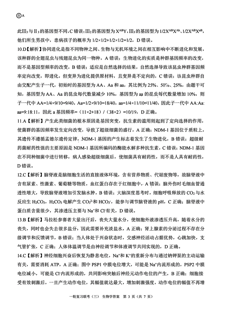 百师联盟2025届高三一轮复习联考(三)生物答案.pdf_第3页