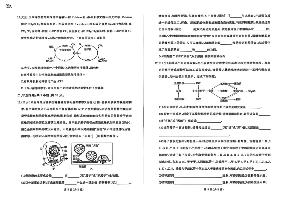 百师联盟2026届高三9月调研考试生物+答案.pdf_第3页