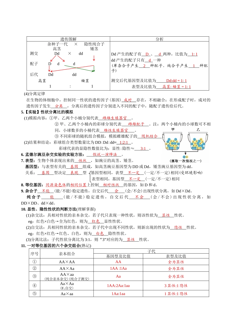 第1章遗传因子的发现-【必背知识】高一生物章节知识清单（人教版必修2）（背诵版）.docx_第2页