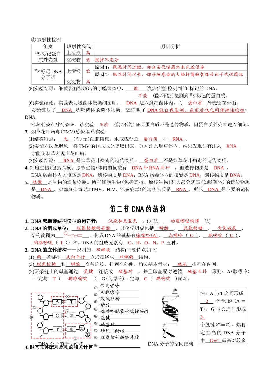 第3章基因的本质-【必背知识】高一生物章节知识清单（人教版必修2）（背诵版）.docx_第2页