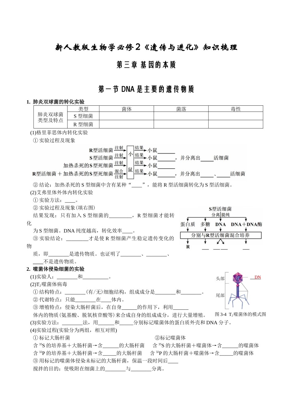 第3章基因的本质-【必背知识】高一生物章节知识清单（人教版必修2）（填空版）.docx_第1页