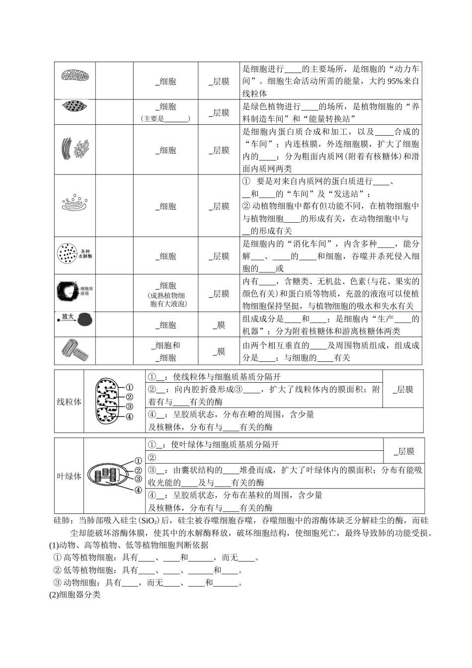 第3章细胞的基本结构-【必背知识】高一生物章节知识梳理(人教版必修第一册)(填空版).docx_第3页