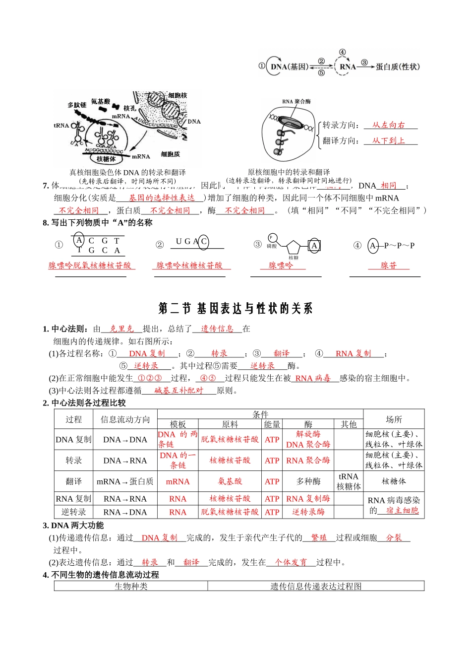 第4章基因的表达-【必背知识】高一生物章节知识清单(人教版必修2)(背诵版).docx_第3页