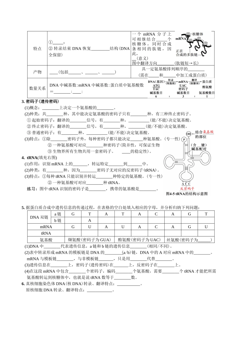 第4章基因的表达-【必背知识】高一生物章节知识清单（人教版必修2）（填空版）.docx_第2页