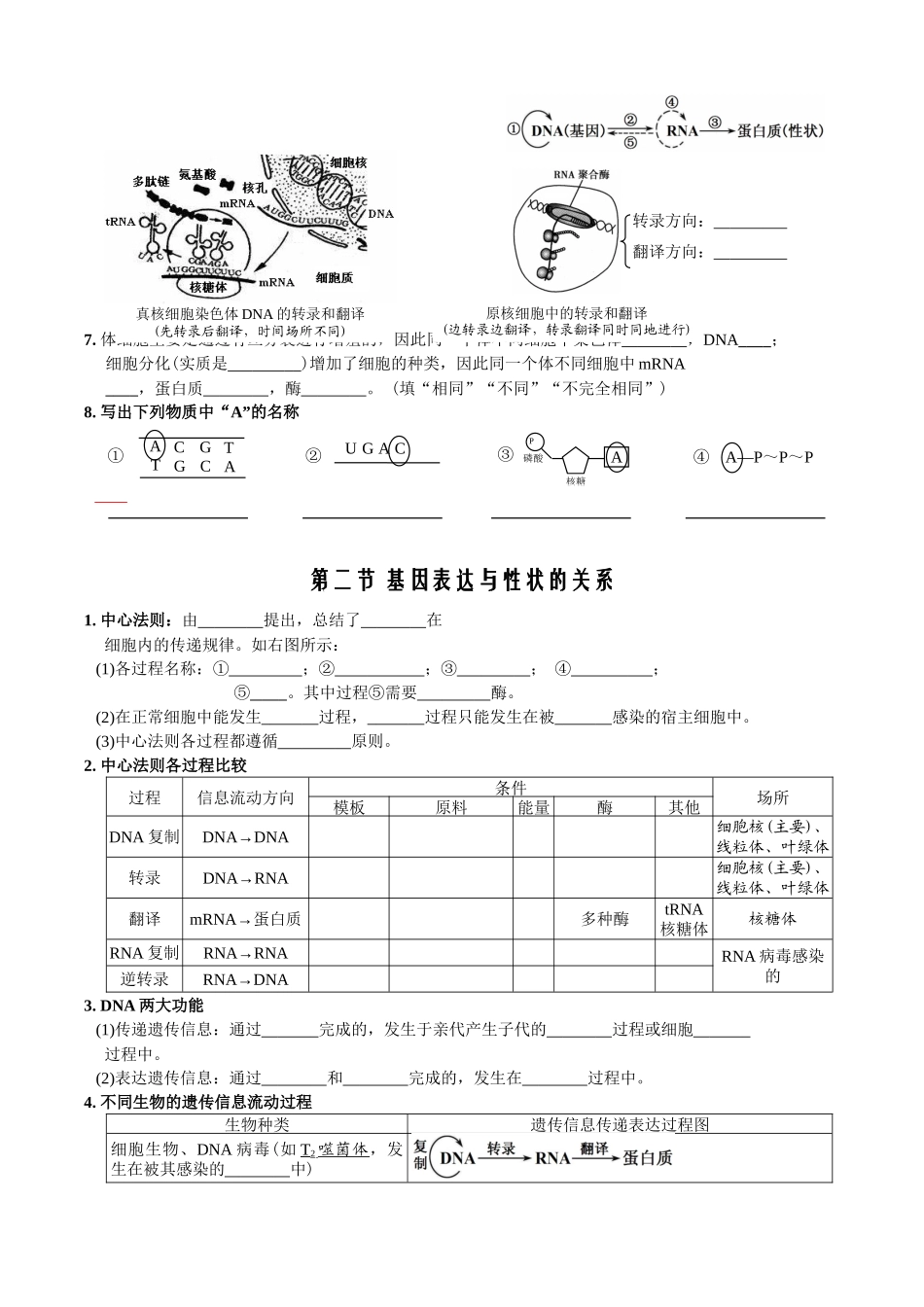 第4章基因的表达-【必背知识】高一生物章节知识清单（人教版必修2）（填空版）.docx_第3页