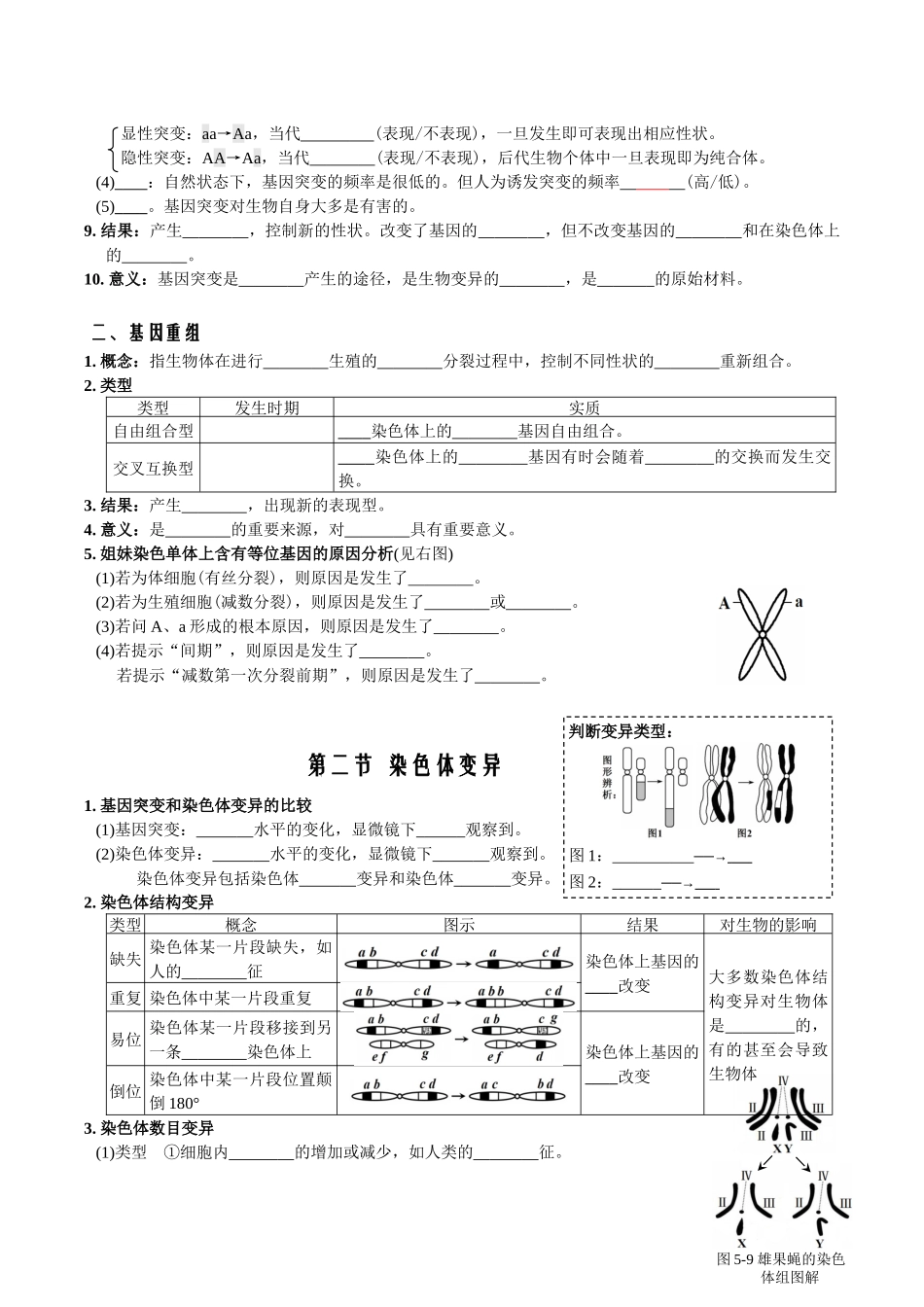 第5章基因突变及其他变异-【必背知识】高一生物章节知识清单（人教版必修2）（填空版）.docx_第2页