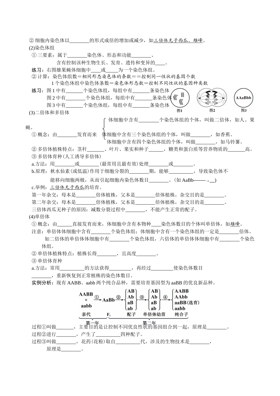第5章基因突变及其他变异-【必背知识】高一生物章节知识清单（人教版必修2）（填空版）.docx_第3页