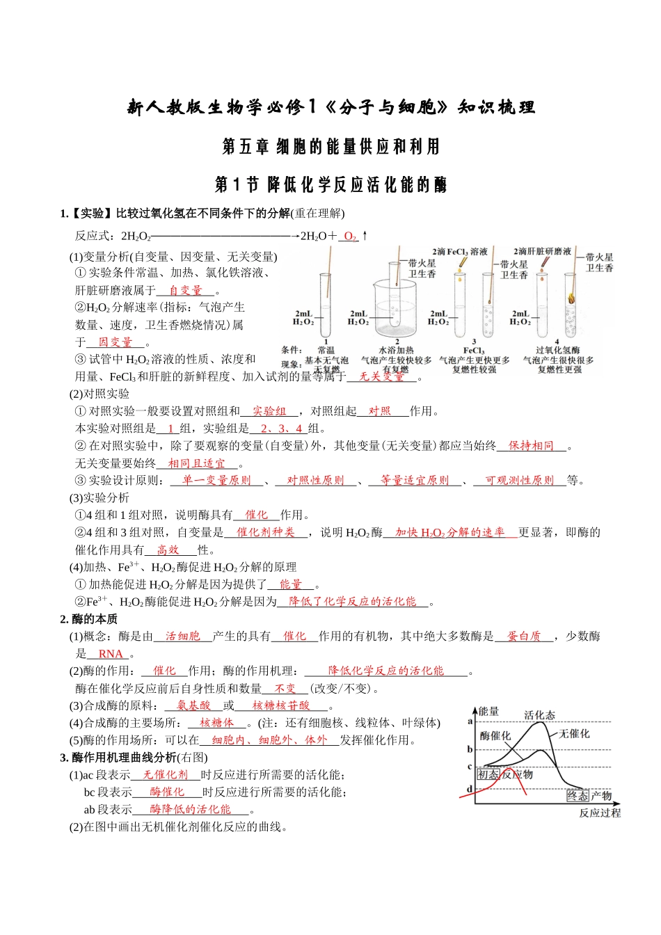 第5章细胞的能量供应和利用-【必背知识】高一生物章节知识梳理（人教版必修第一册）（背诵版）.docx_第1页