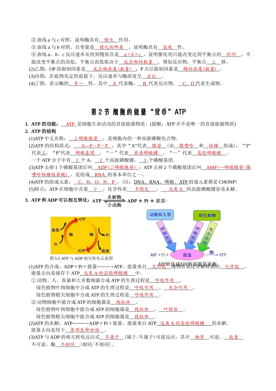 第5章细胞的能量供应和利用-【必背知识】高一生物章节知识梳理（人教版必修第一册）（背诵版）.docx_第3页