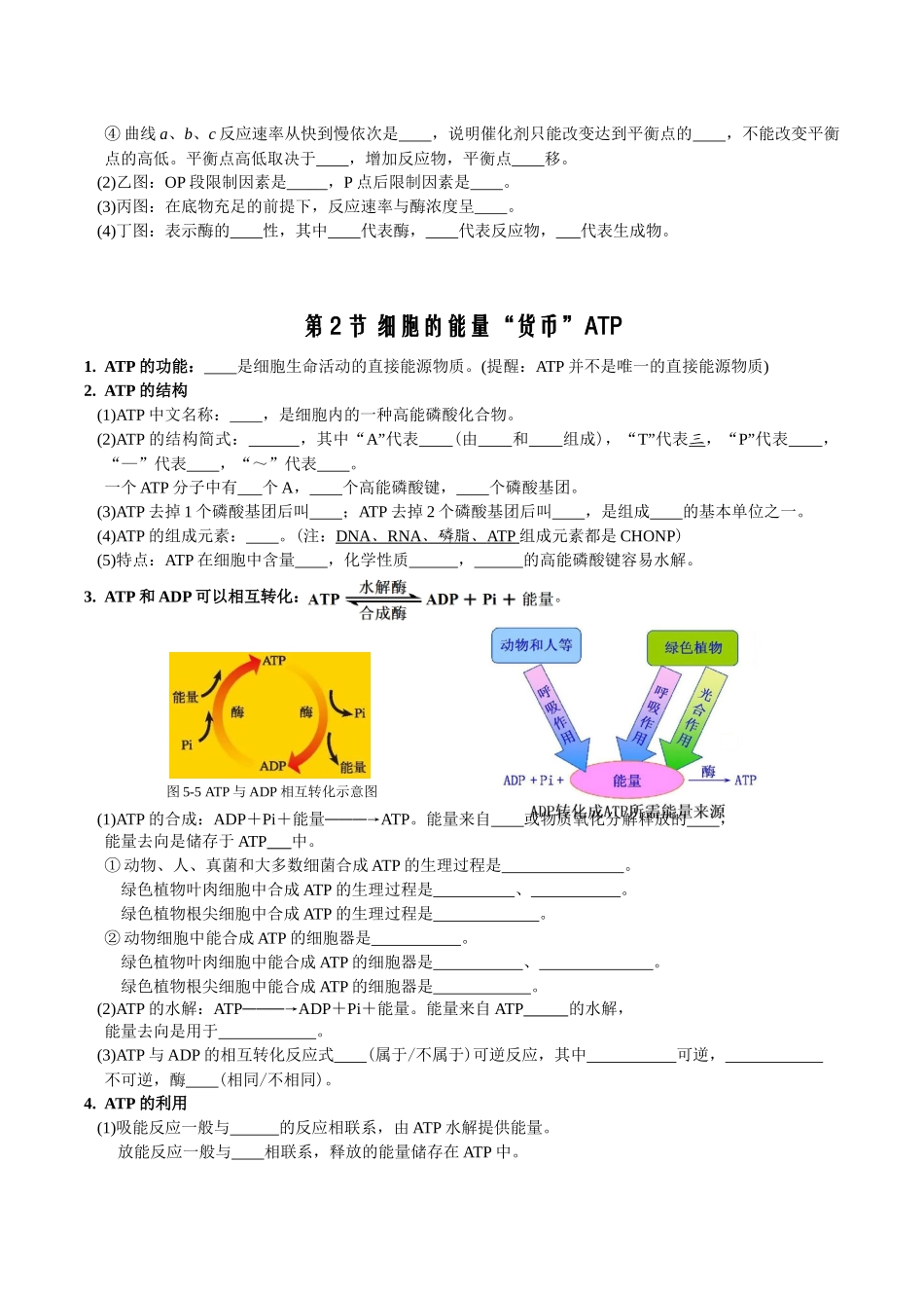 第5章细胞的能量供应和利用-【必背知识】高一生物章节知识梳理(人教版必修第一册)(填空版).docx_第3页