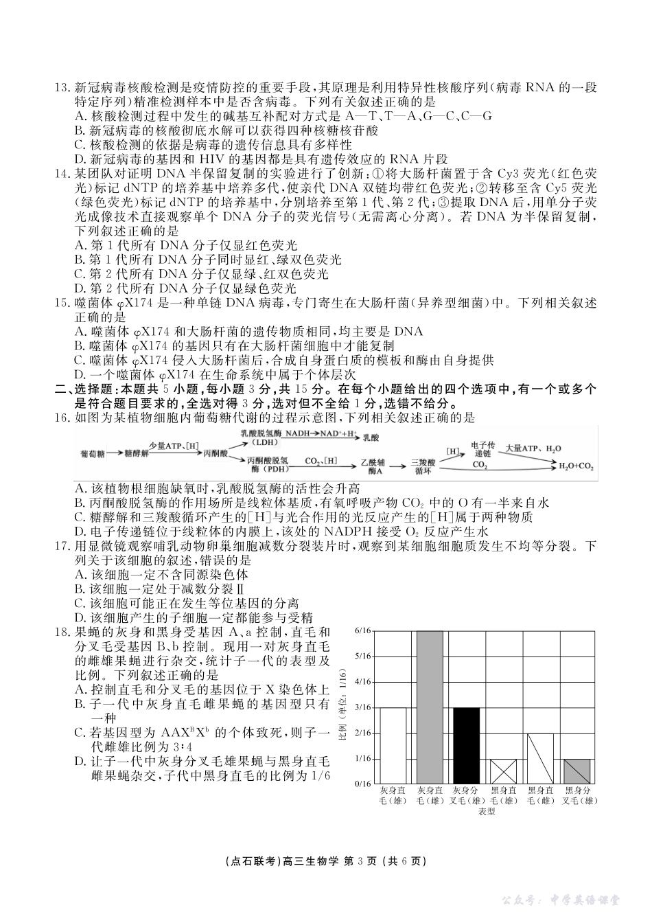 点石联考2025-2026学年度上学期高三年级10月份联合考试生物.pdf_第3页