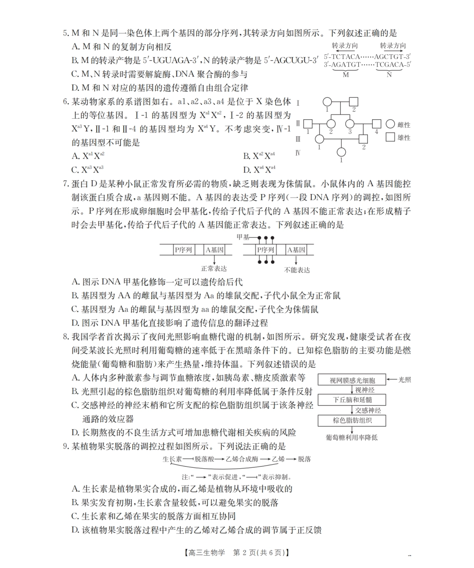 鄂州市2026届高三上学期第三届普通高中教师专业能力测试(解题大赛)(26-57C)生物.pdf_第2页