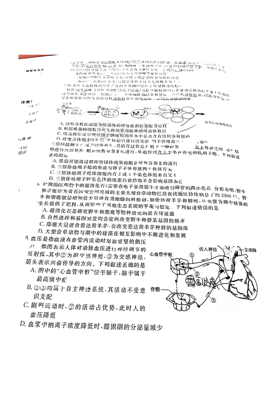 福建省2024-2025学年2025届高三百校12月测评联考(金太阳下标FJ)(12.19-12.20)生物试卷+答案.pdf_第2页