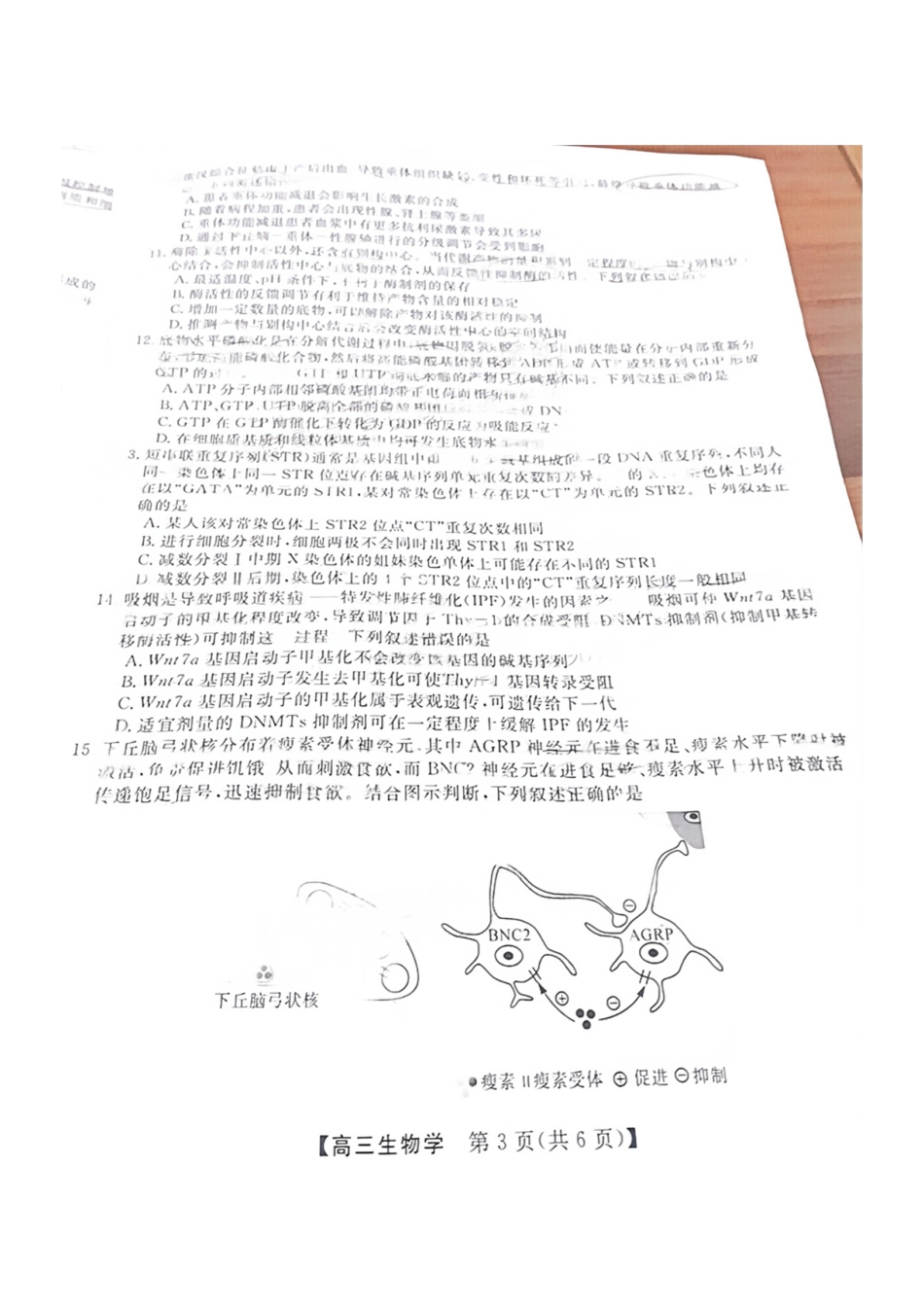 福建省2024-2025学年2025届高三百校12月测评联考(金太阳下标FJ)(12.19-12.20)生物试卷+答案.pdf_第3页