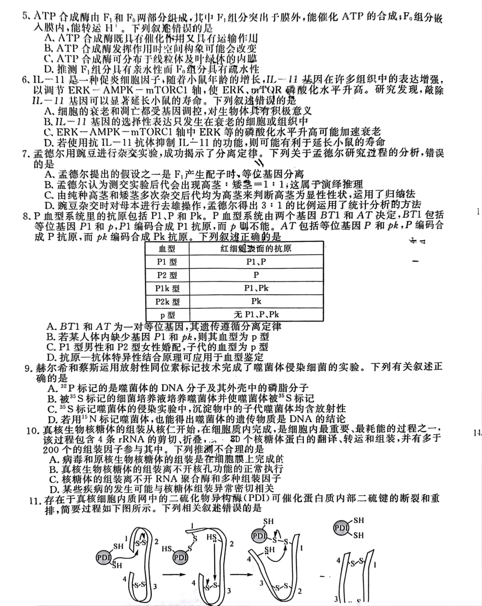 福建省金太阳2025届高三年级百校联考11月测评（下标FJ）（11.15-11.16）生物试卷+答案.pdf_第2页