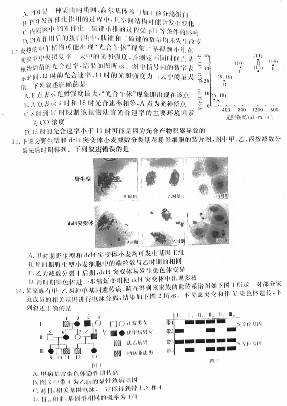 福建省金太阳2025届高三年级百校联考11月测评（下标FJ）（11.15-11.16）生物试卷+答案.pdf_第3页
