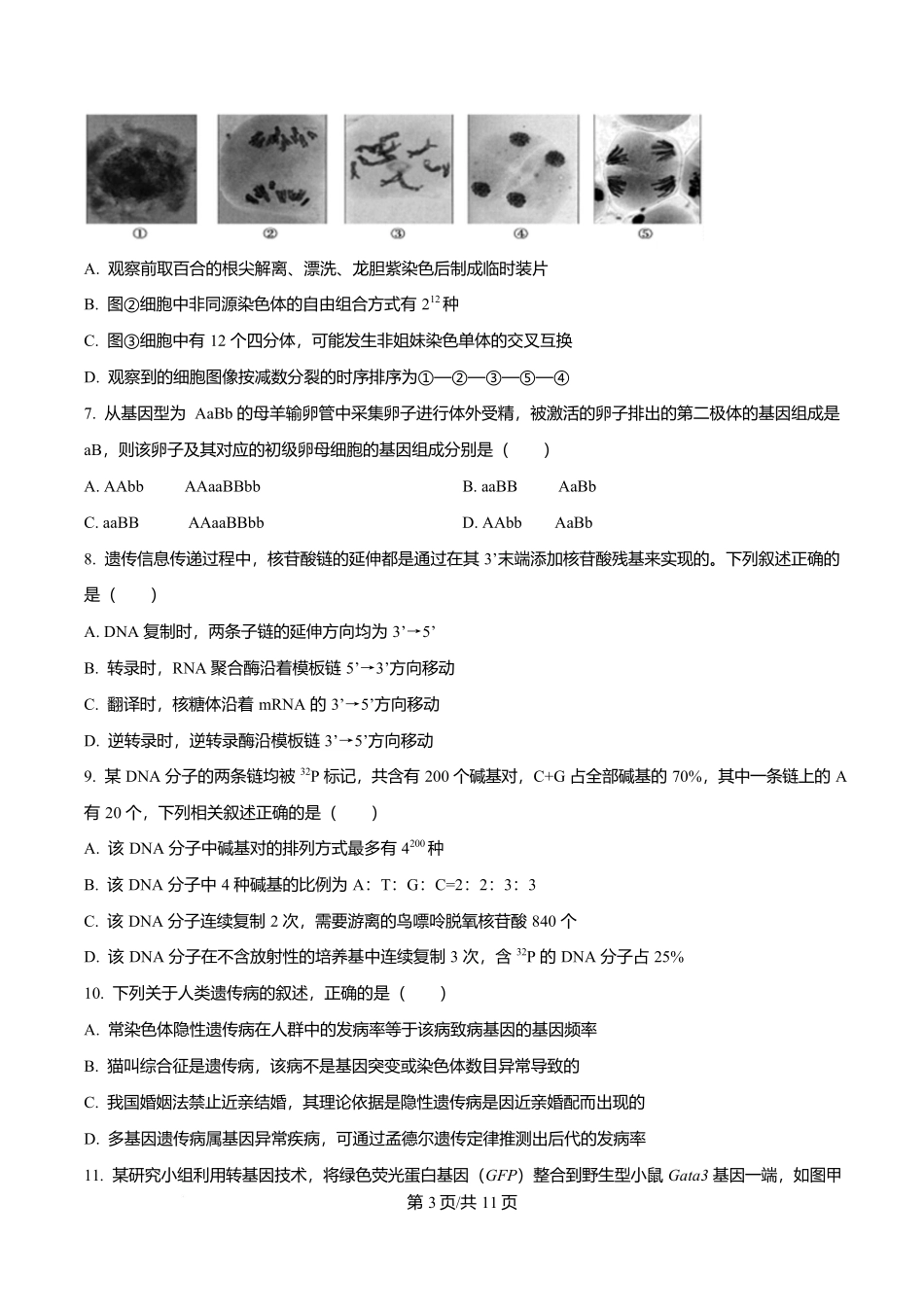 福建省厦门双十中学2026届高三（上）第一次月考+生物.docx_第3页