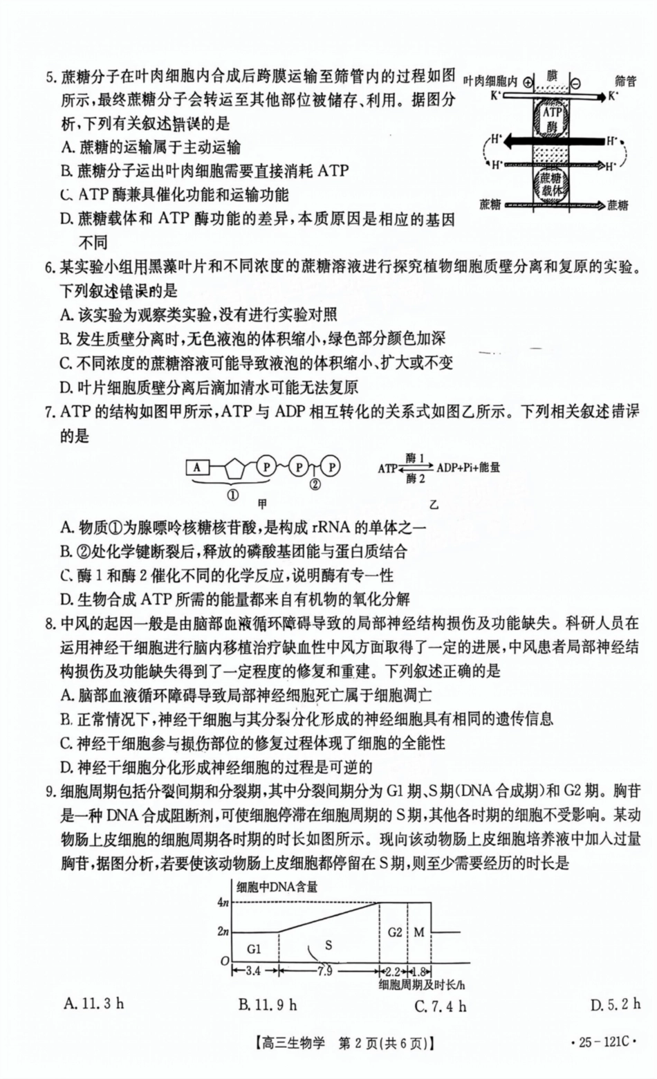 福建省漳州宁德龙岩三市2025届高三百校半期11月联考联考（金太阳25-121C）（11.6-11.8）生物试卷+参考答案.pdf_第2页