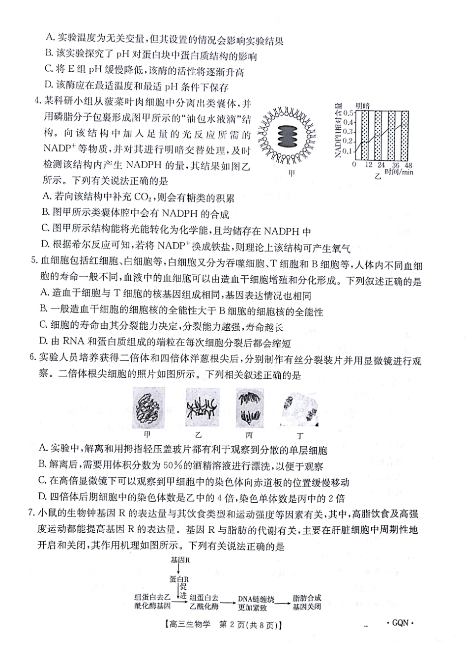 -甘肃、青海、宁夏省金太阳百校联考2025届高三11月联考（11.14-11.15）生物试卷.pdf_第2页