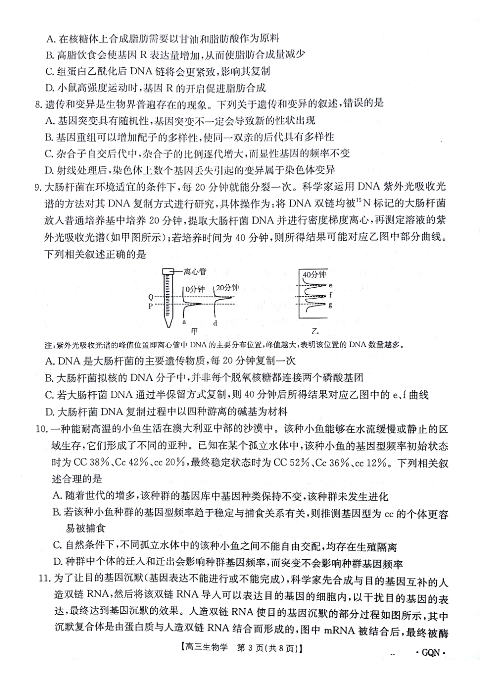 -甘肃、青海、宁夏省金太阳百校联考2025届高三11月联考（11.14-11.15）生物试卷.pdf_第3页