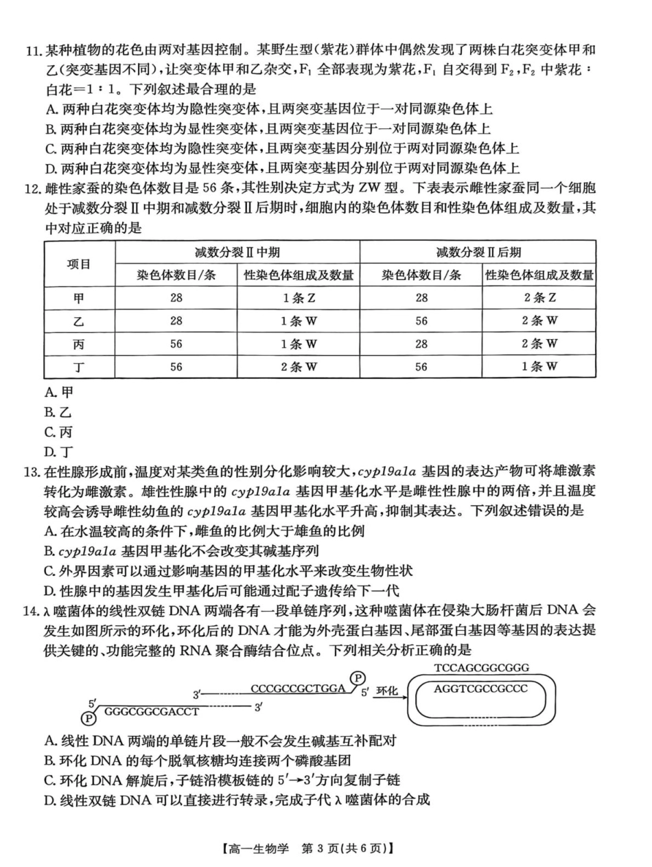 甘肃省白银市2024-2025学年高一下学期期末检测生物试卷.pdf_第3页