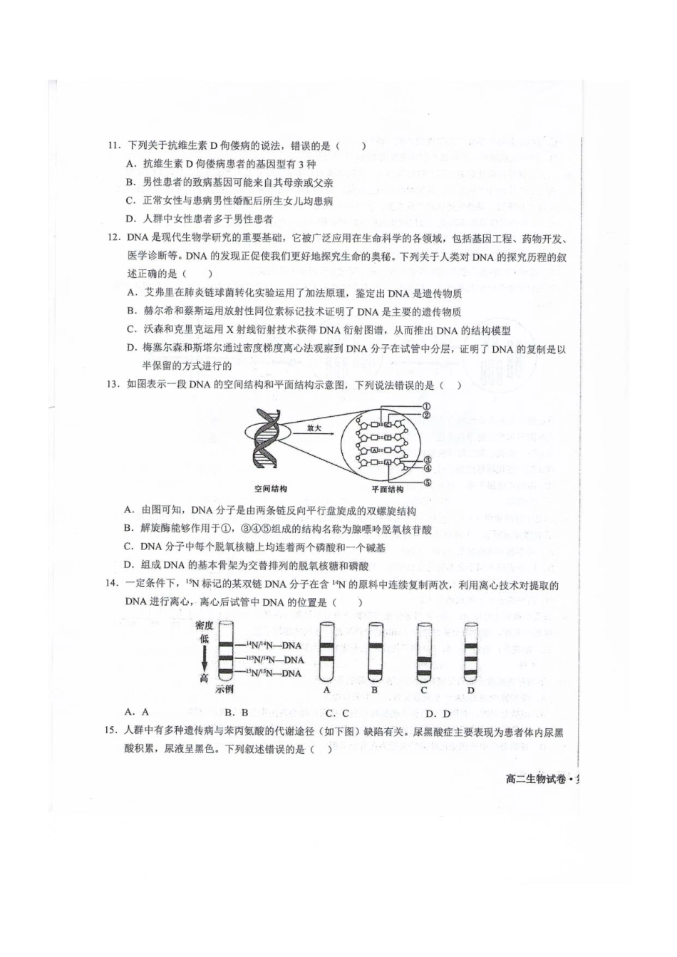 甘肃省武威第六中学2025-2026学年高二上学期开学考试生物试卷.pdf_第3页