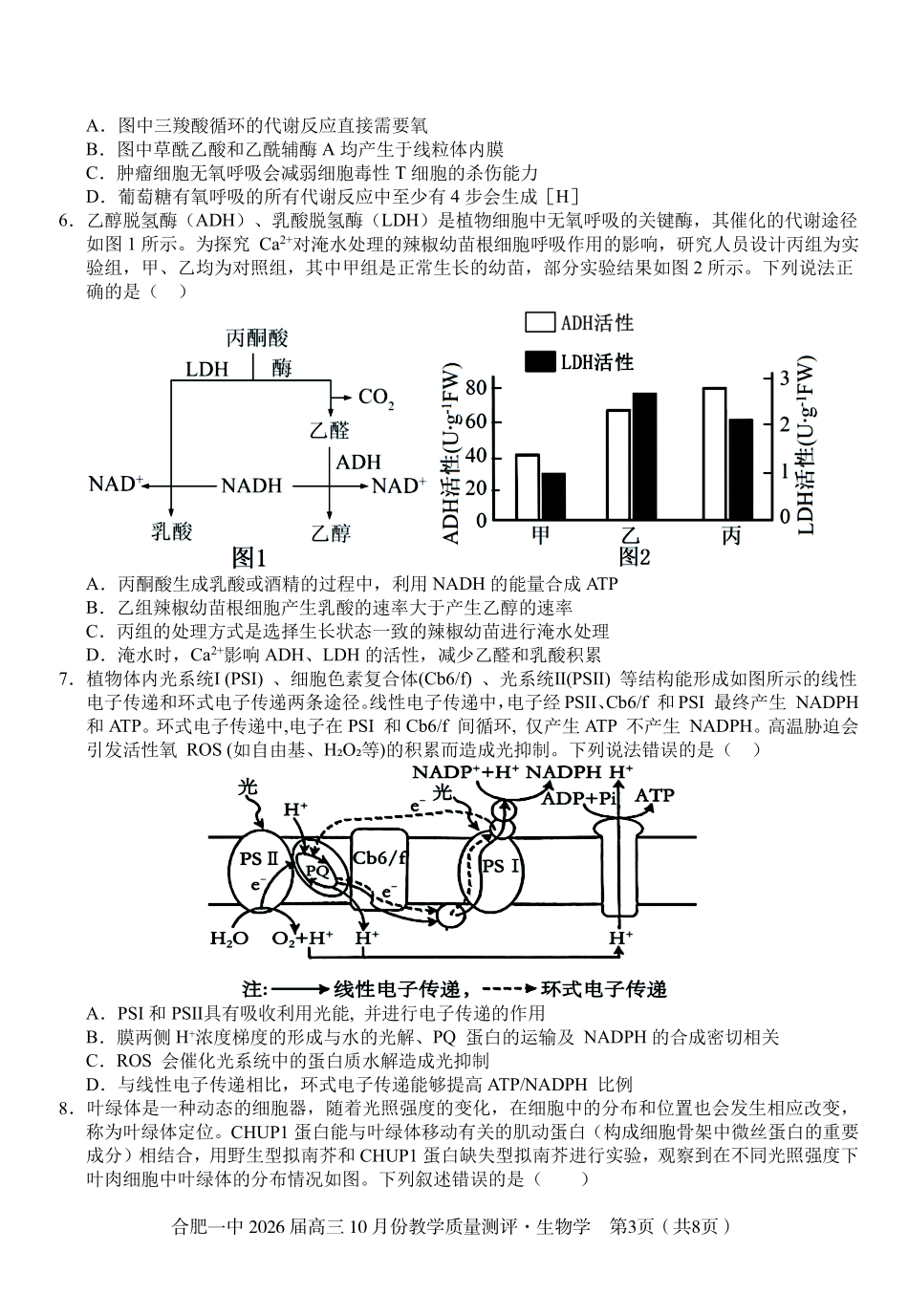 高三10月份教学质量测评生物卷.pdf_第3页