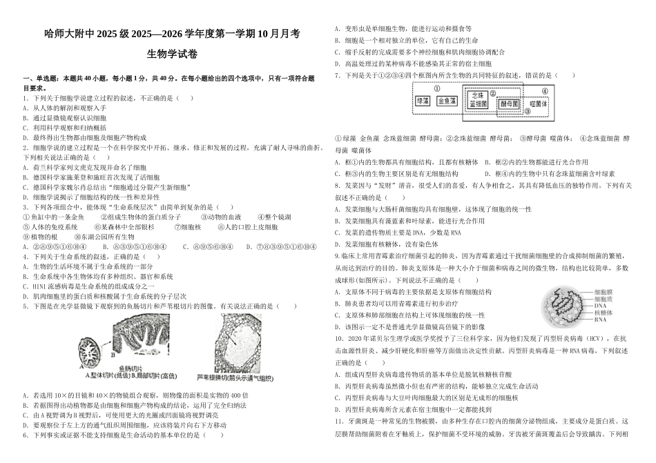 高一生物十月月考-试卷.docx_第1页