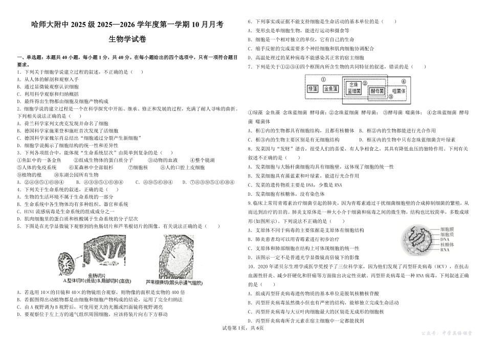 高一生物十月月考-试卷.pdf_第1页