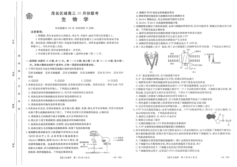 广东茂名区域2025届高三10月金太阳联考（金太阳25-72C）（10.15-10.17）生物试卷.pdf_第1页