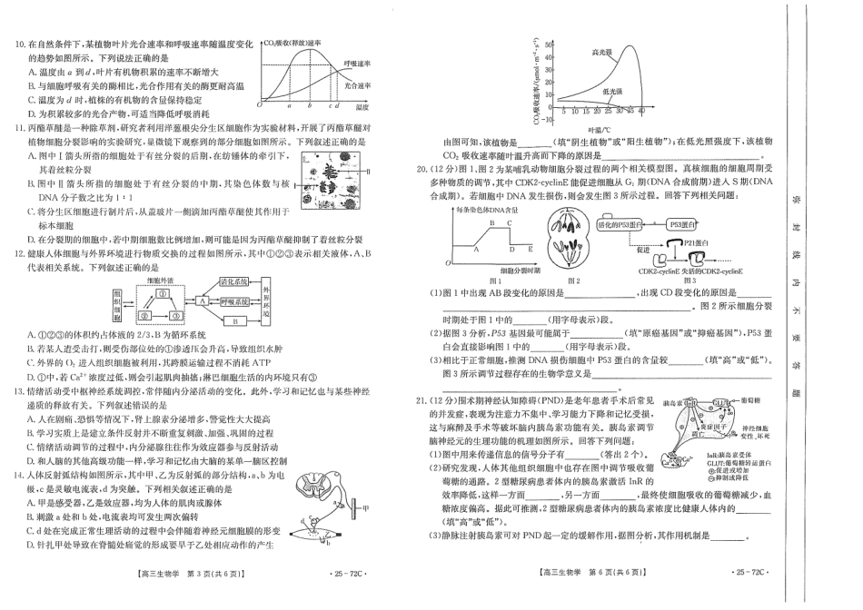 广东茂名区域2025届高三10月金太阳联考（金太阳25-72C）（10.15-10.17）生物试卷.pdf_第3页