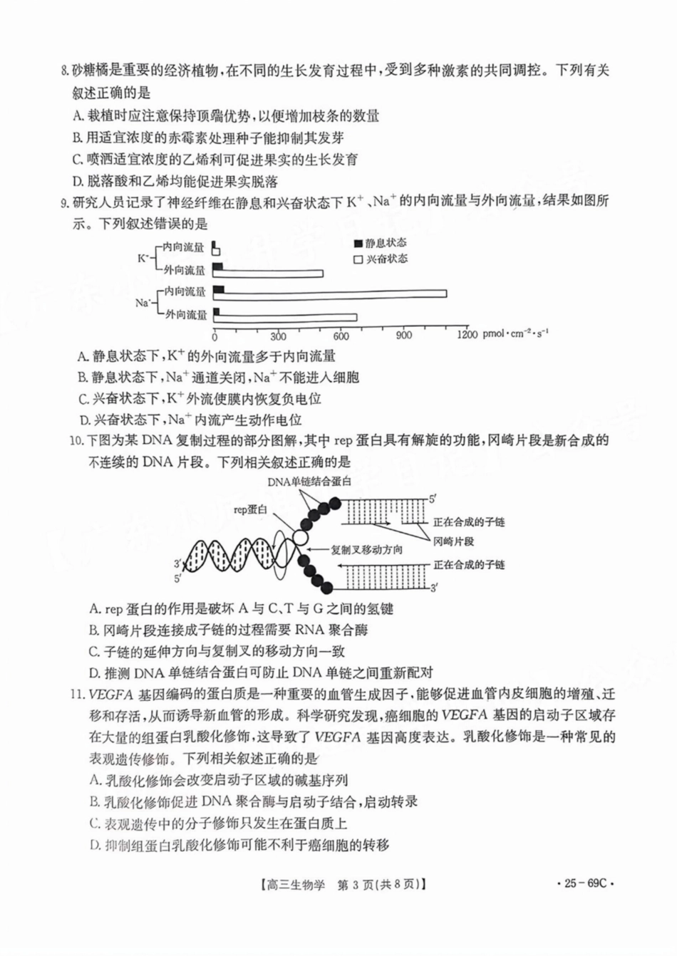 广东省2025届高三10月金太阳联考(金太阳25-69C)(10.28-10.29)生物试卷.pdf_第3页