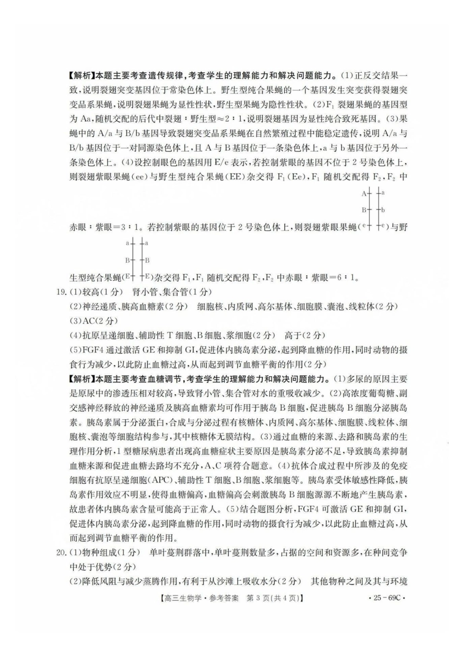 广东省2025届高三10月金太阳联考（金太阳25-69C)(10.28-10.29)生物试卷答案.pdf_第3页