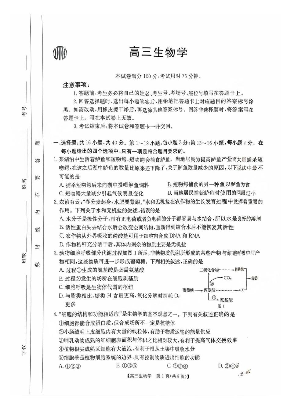 广东省2025届高三年级8月26-27金太阳联考（金太阳25-02C）（8.26-8.27）生物试卷.pdf_第1页