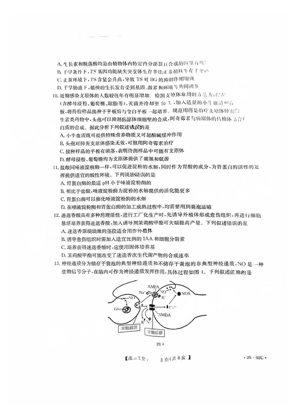 广东省2025届高三年级8月26-27金太阳联考（金太阳25-02C）（8.26-8.27）生物试卷.pdf_第3页