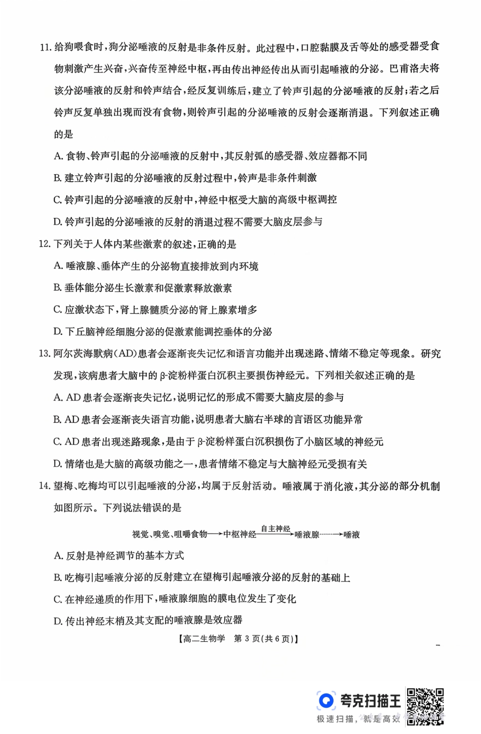 广东省2027届高二年级10月份联考（26-48B）生物.pdf_第3页