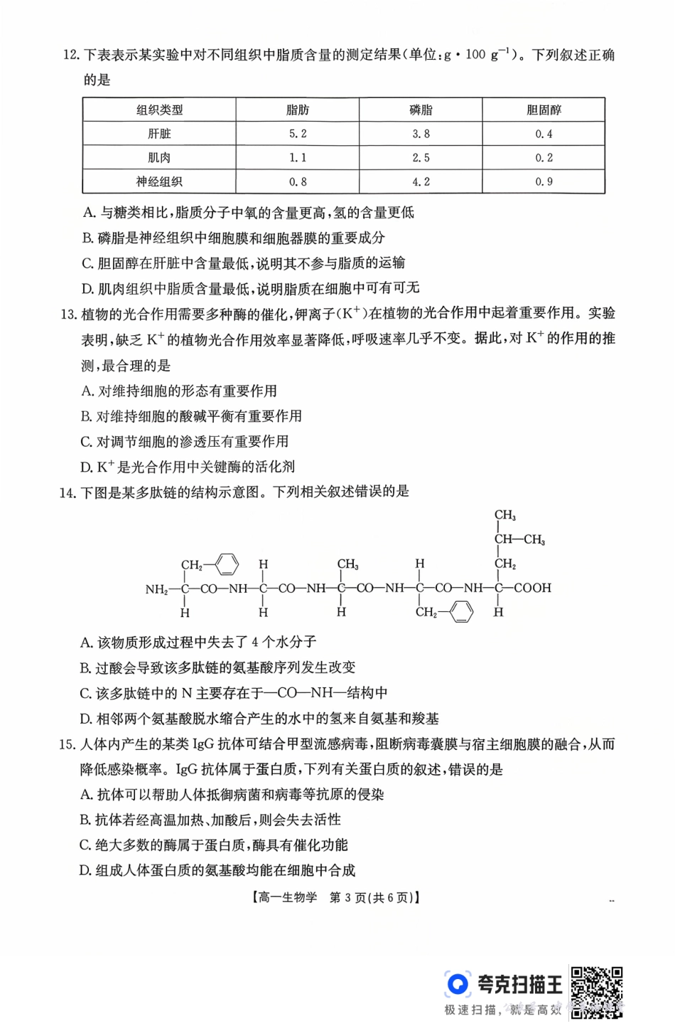 广东省2028届高一年级10月份联考(26-48A)生物.pdf_第3页