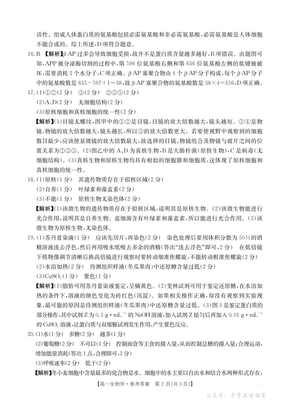 广东省2028届高一年级10月份联考（26-48A）生物答案.pdf_第2页