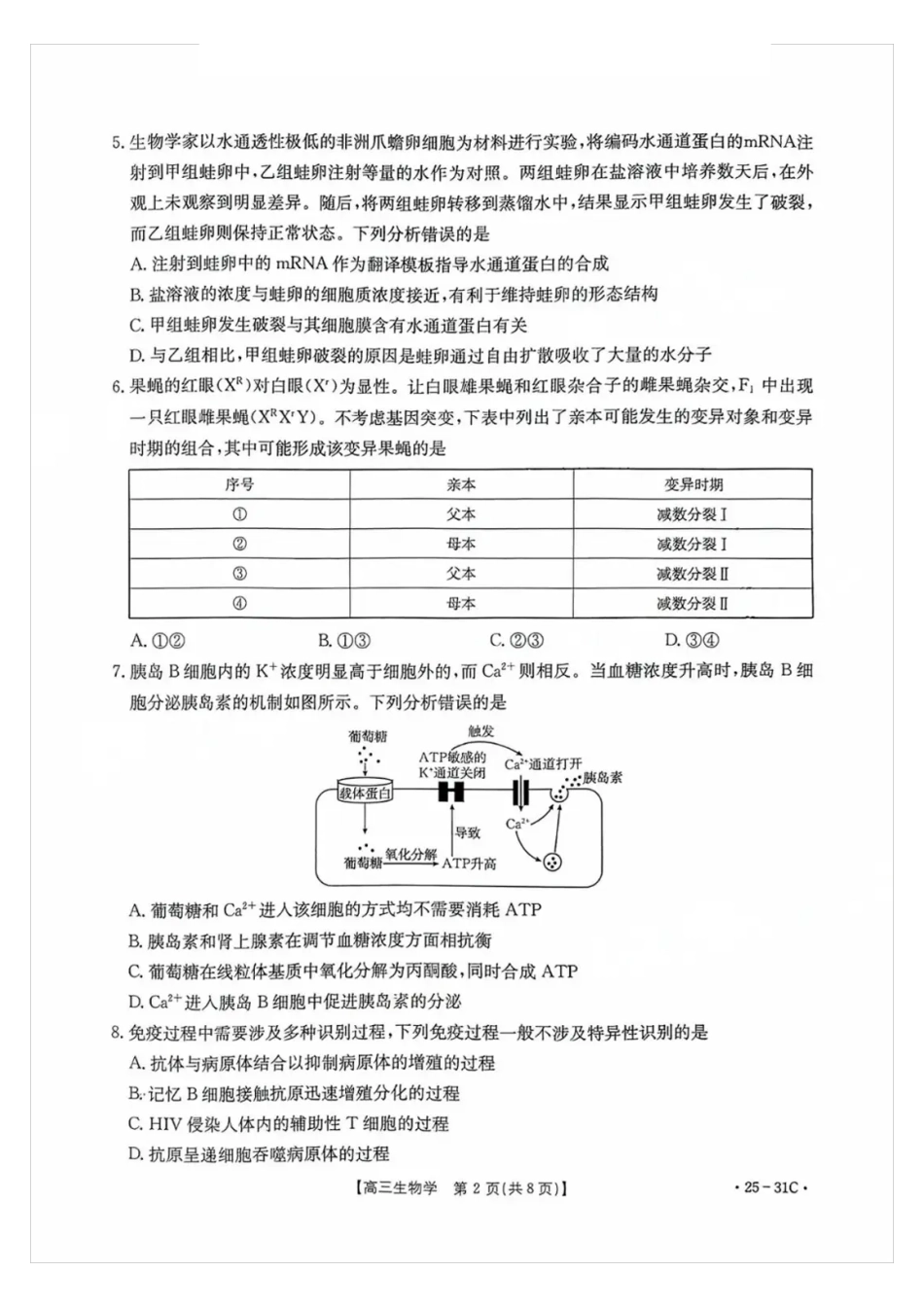 广东省金太阳2025届高三上学期9月联考（金太阳25-31C）（9.26-9.27）生物试卷.pdf_第2页