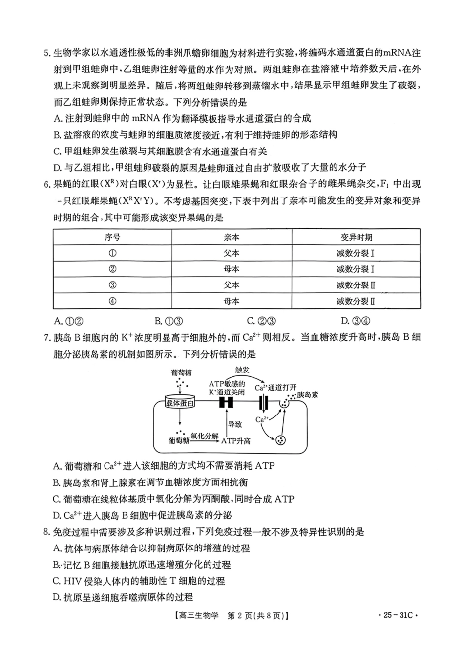 广东省金太阳2025届高三上学期9月联考（金太阳25-31C）（9.26-9.27）生物试题卷.pdf_第2页