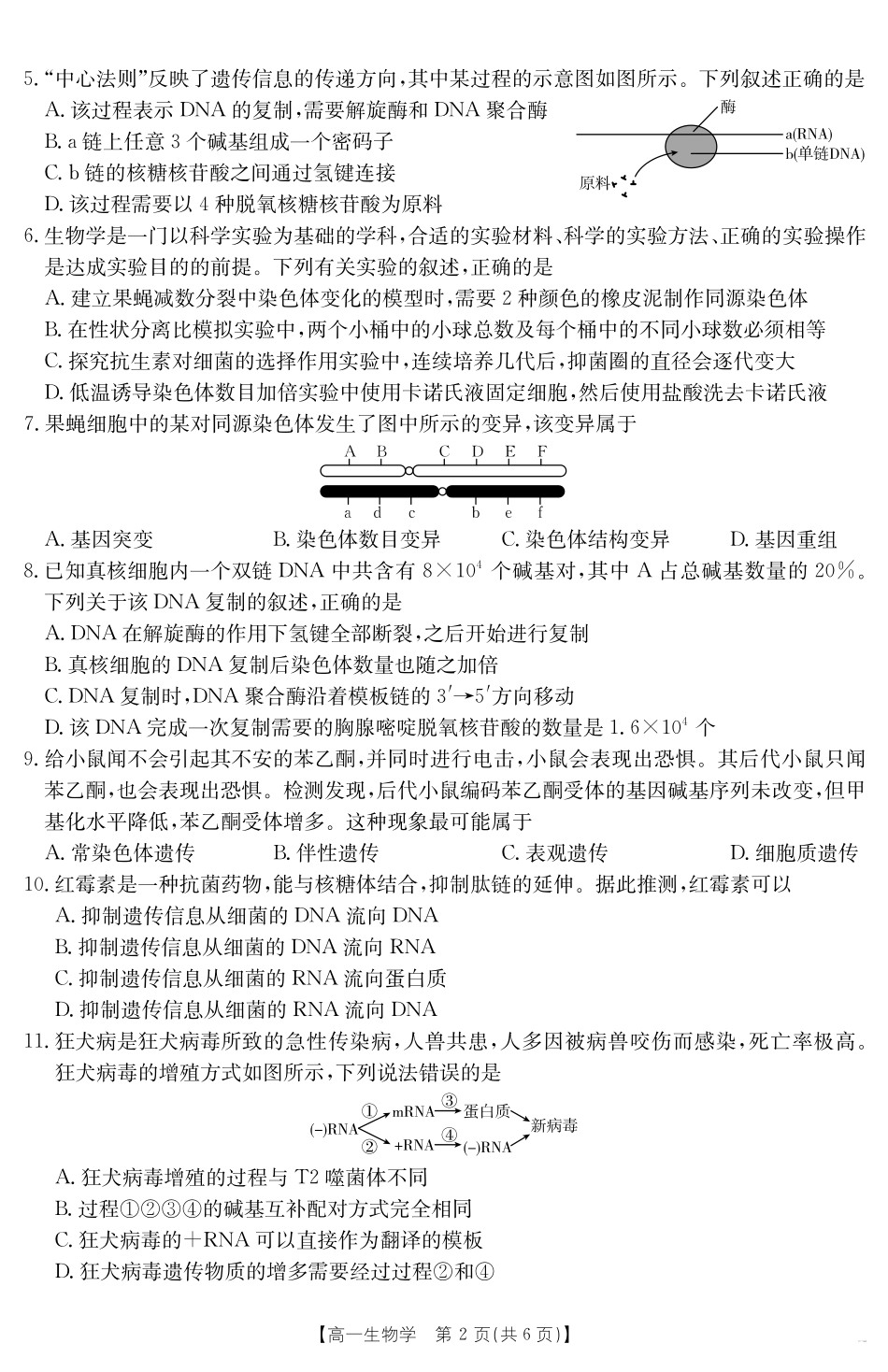 广东省云浮市2024--2025学年高一下学期高中教学质量检测生物.pdf_第2页