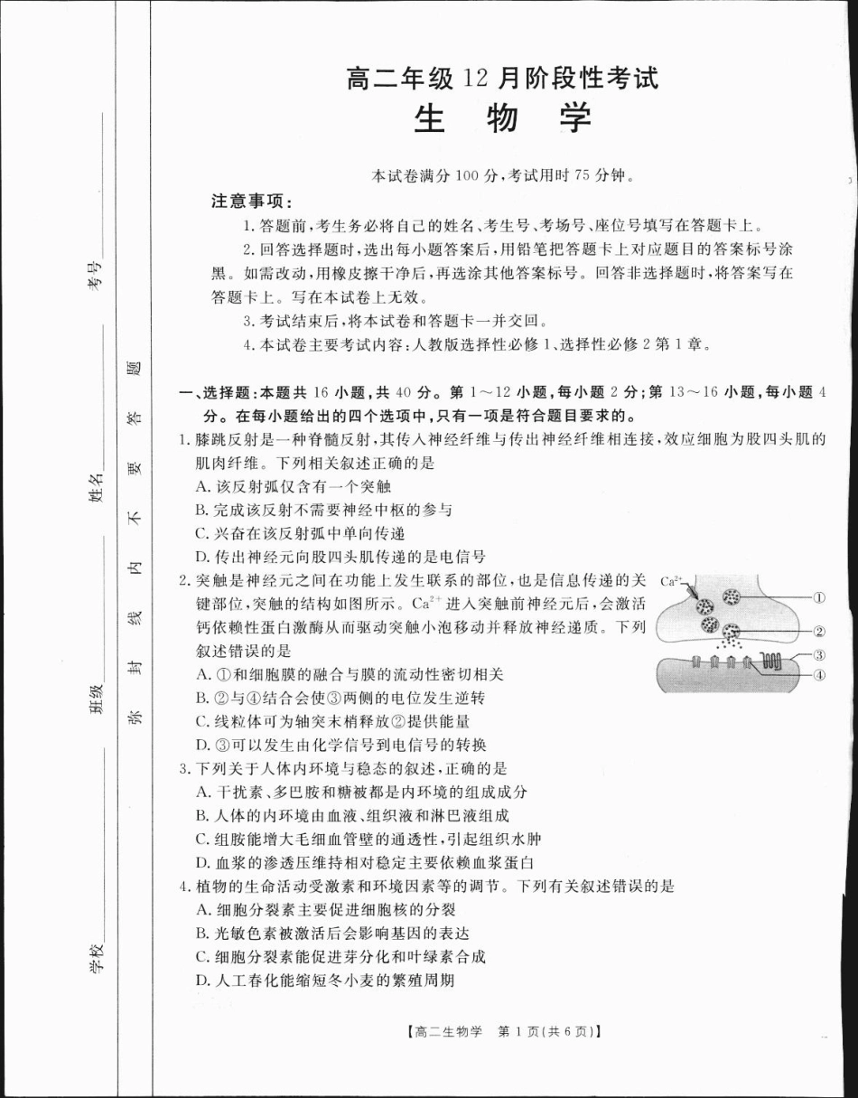 广西2024-2025学年高二上学期12月阶段性考试生物1.pdf_第1页