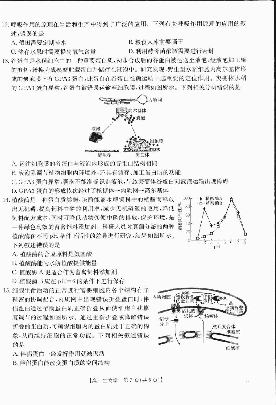 广西2024-2025学年高一上学期12月阶段性考试生物1.pdf_第3页