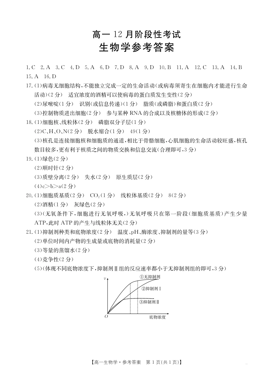 广西2024-2025学年高一上学期12月阶段性考试生物学答.pdf_第1页