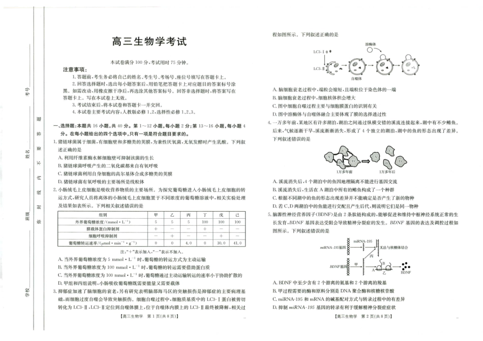 广西百校联考2024-2025学年高三上学期11月月考【金太阳25-145C】1(11.20-11.21)生物试卷.pdf_第1页