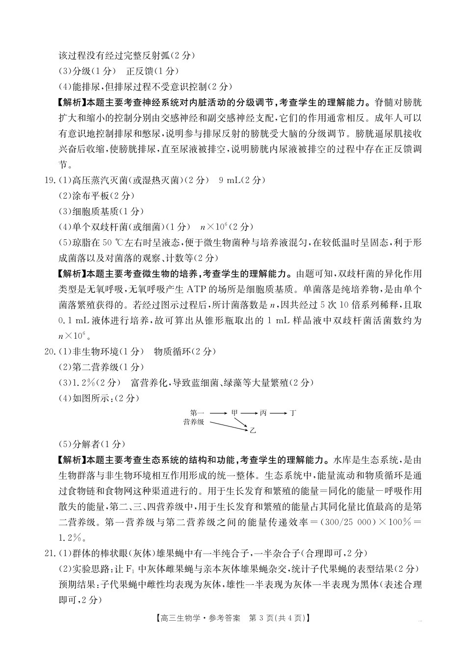 广西百校联考2024-2025学年高三上学期11月月考【金太阳25-145C】1（11.20-11.21）生物试卷答案.pdf_第3页