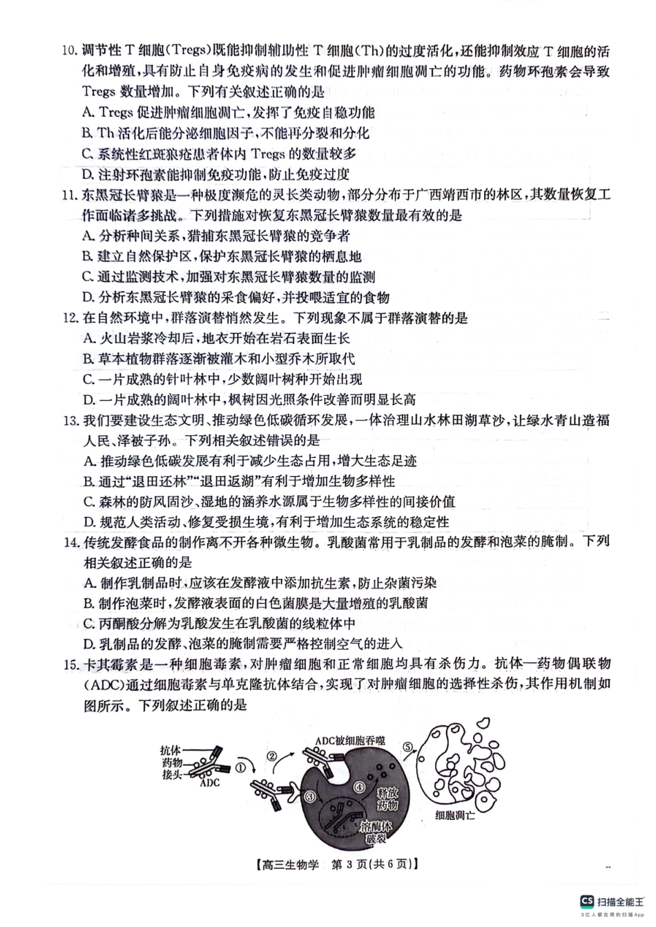 贵州省2025届贵州省部分学校金太阳高三10月联考(金太阳25-84C)（10.24-10.25）生物试卷.pdf_第3页