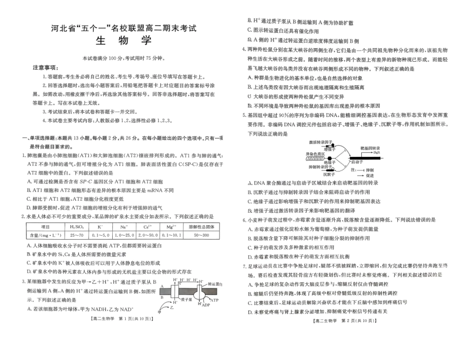 河北省“五个一”名校联盟2024-2025学年高二期末考试生物.pdf_第1页