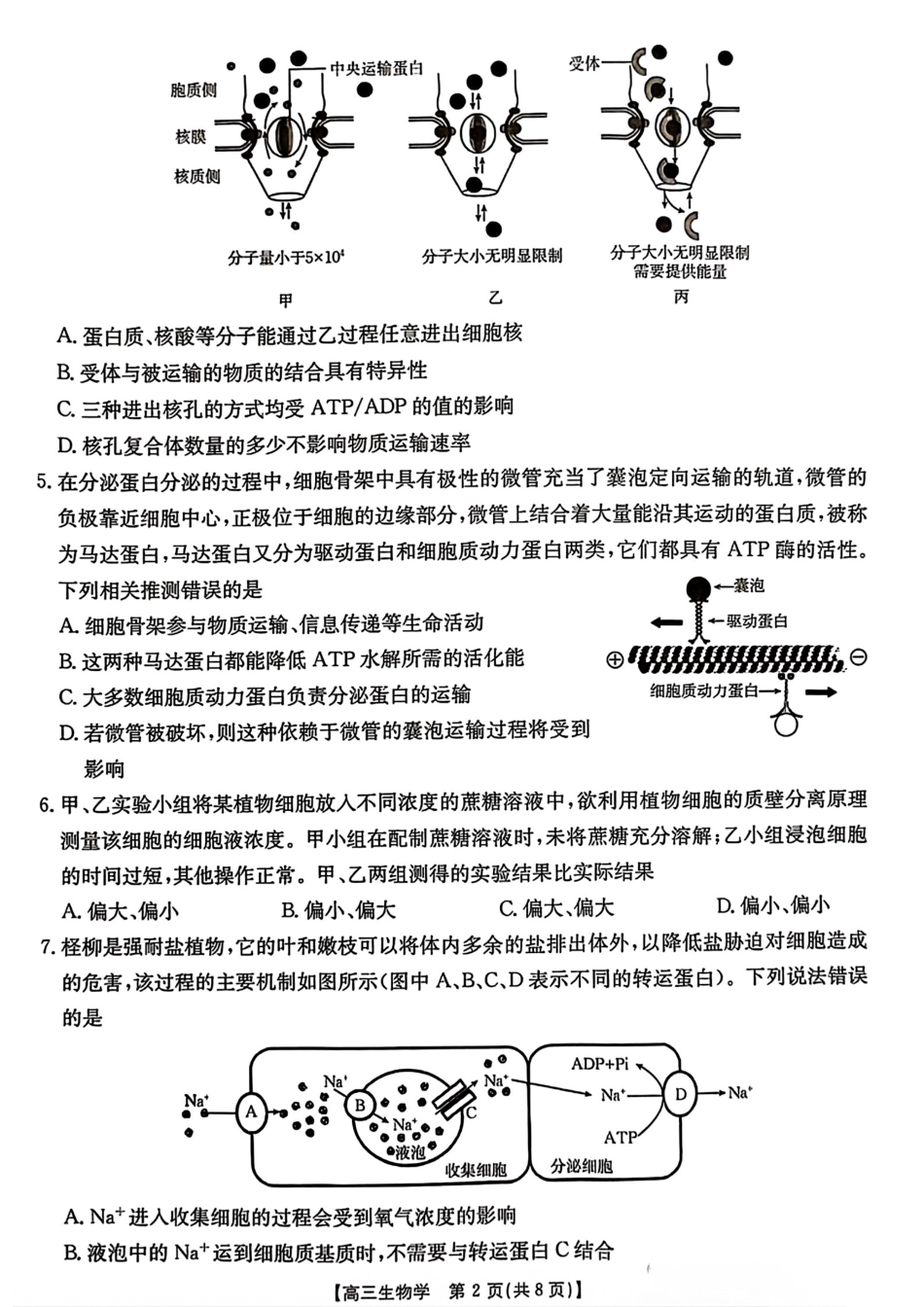 河北省2024-2025学年高三年级上学期9月份考试生物试题.pdf_第2页