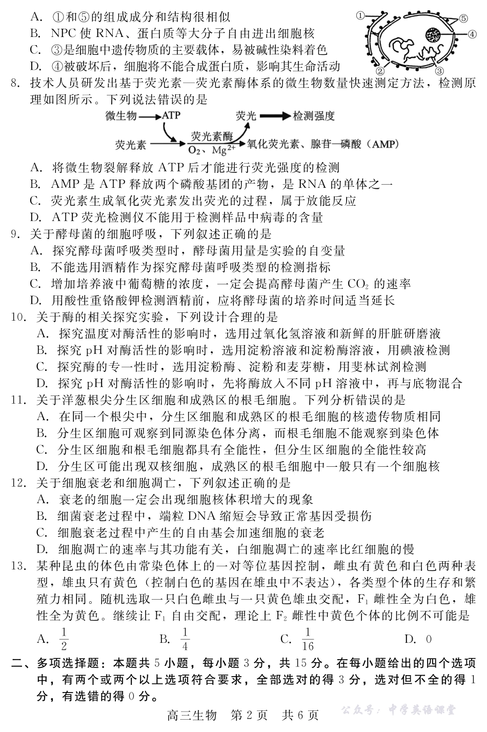 河北省NT20第一学期高三年级10月联考生物.pdf_第2页